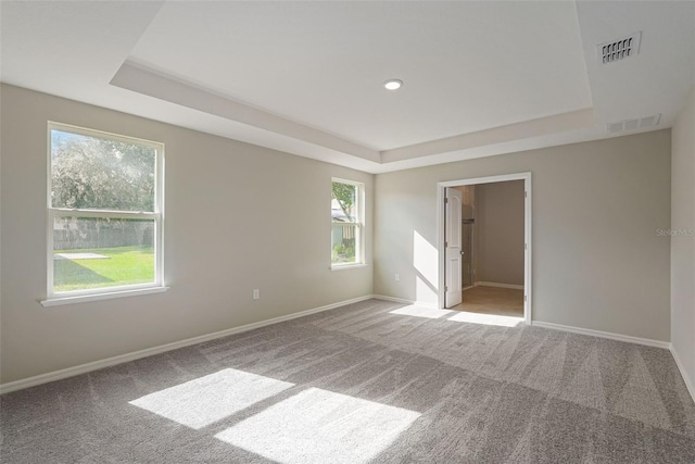 carpeted spare room featuring a raised ceiling and plenty of natural light