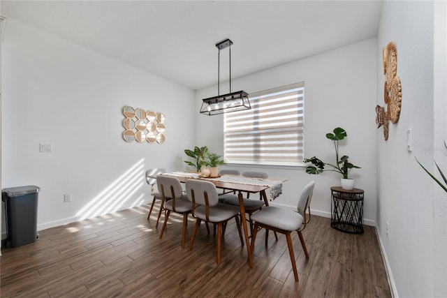 dining space featuring dark wood-type flooring