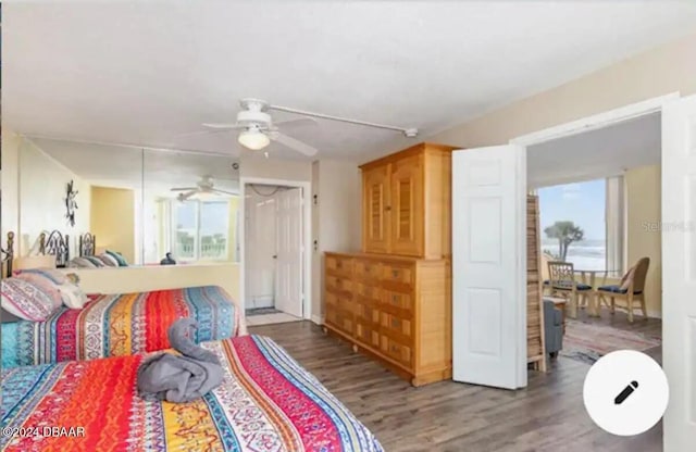 bedroom featuring multiple windows, ceiling fan, and wood finished floors