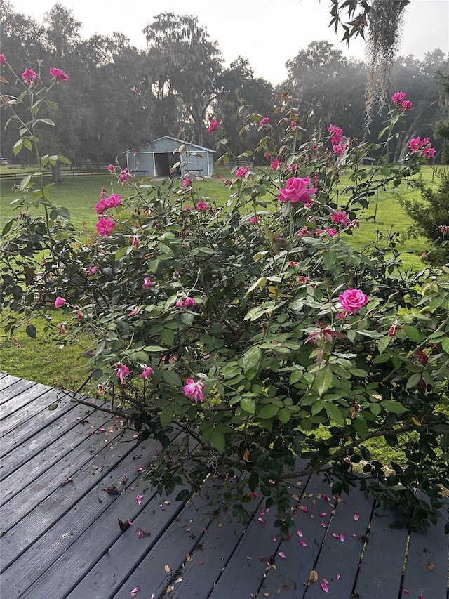 view of yard featuring a deck