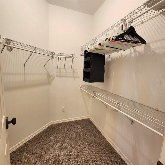 spacious closet with carpet floors