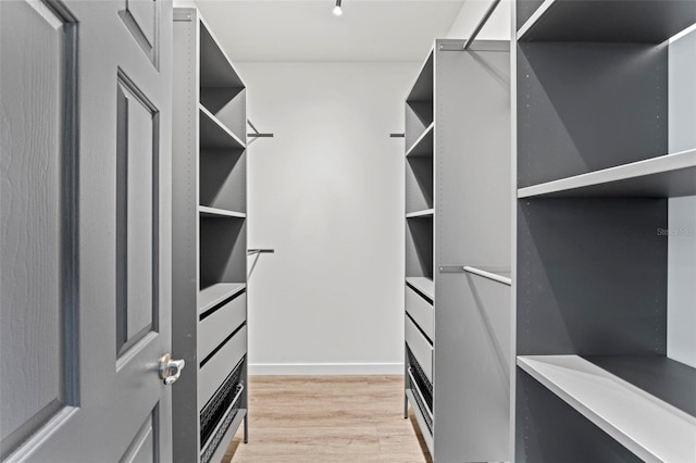 walk in closet with light hardwood / wood-style flooring