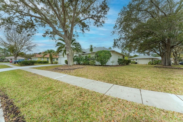 ranch-style house featuring a front yard