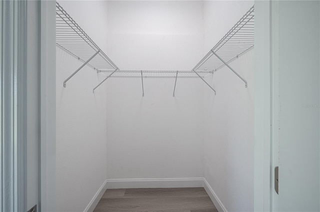 spacious closet with wood-type flooring