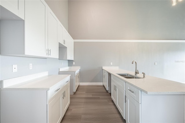 kitchen featuring sink, white cabinets, hardwood / wood-style floors, and stainless steel dishwasher