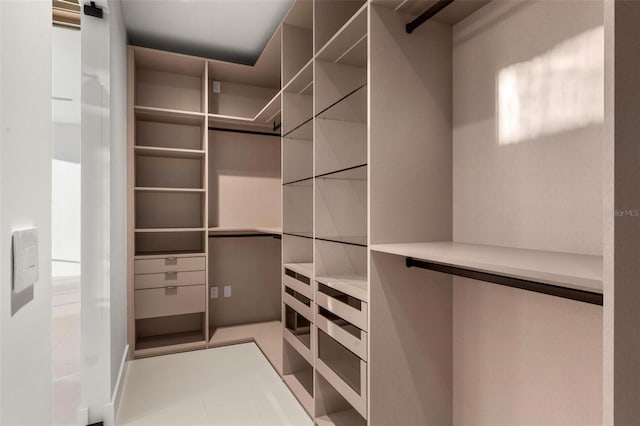 view of spacious closet