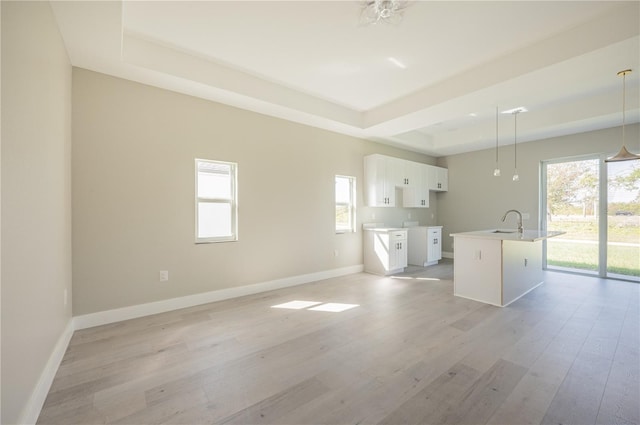 interior space featuring a raised ceiling, a wealth of natural light, light hardwood / wood-style flooring, and sink