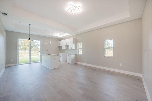 unfurnished living room featuring light hardwood / wood-style floors, a raised ceiling, plenty of natural light, and sink