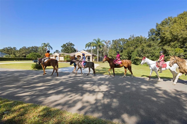 view of home's community