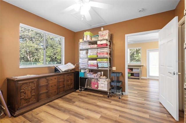 office with ceiling fan and light hardwood / wood-style flooring