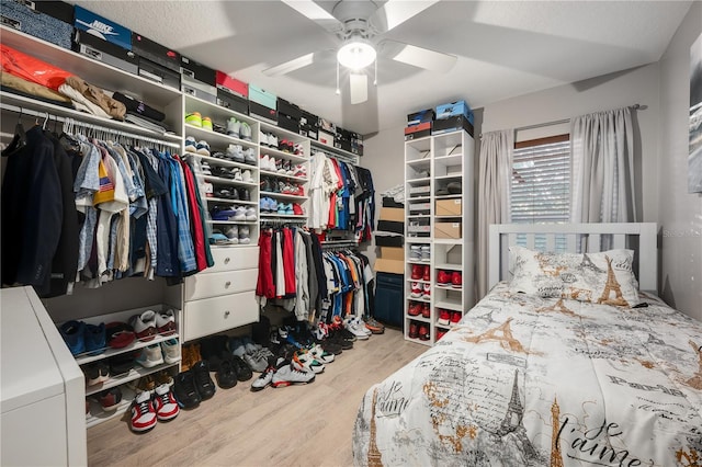 walk in closet featuring ceiling fan and light hardwood / wood-style floors