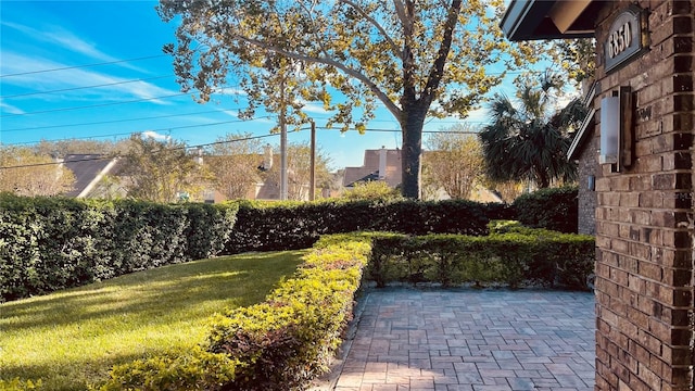 view of yard with a patio area