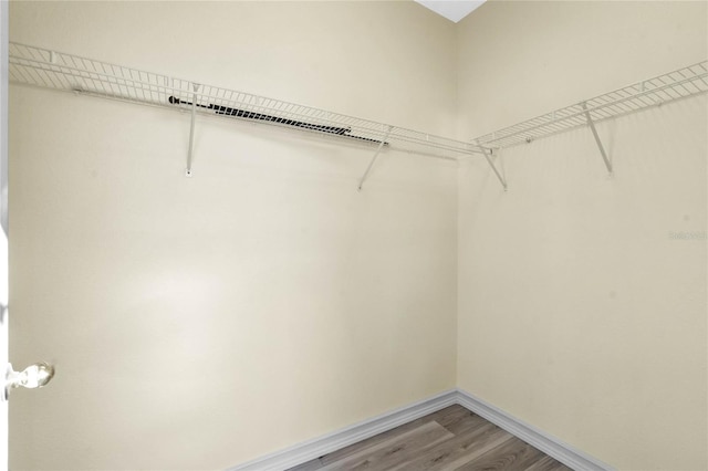 spacious closet featuring hardwood / wood-style floors