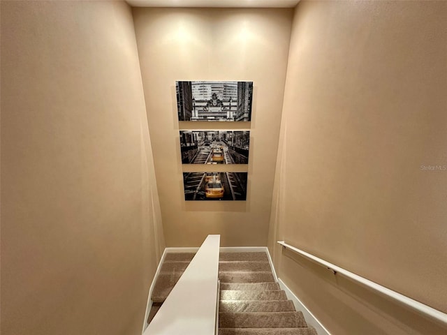 staircase with carpet