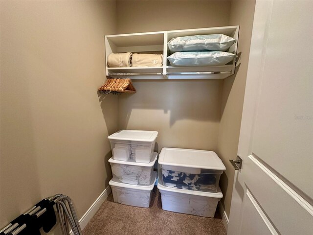 walk in closet with carpet