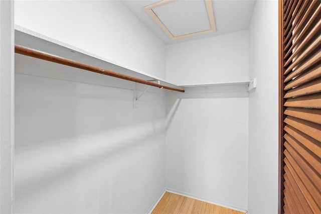 spacious closet with hardwood / wood-style flooring