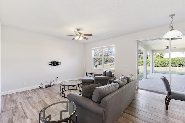 living room with ceiling fan and light hardwood / wood-style floors