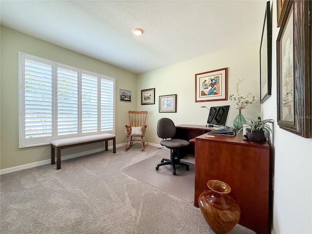 7729 Rosewood Garden Loop, Tampa, FL 33637 - carpeted office featuring a textured ceiling and baseboards