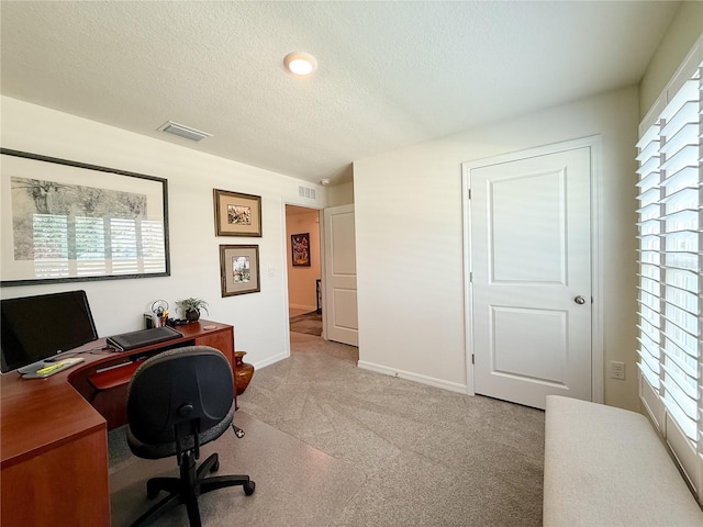 7729 Rosewood Garden Loop, Tampa, FL 33637 - office with a textured ceiling, carpet flooring, and healthy amount of natural light