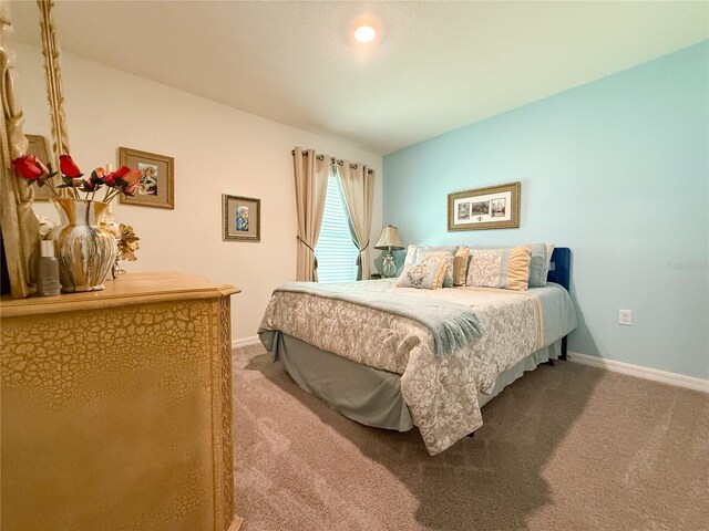 7729 Rosewood Garden Loop, Tampa, FL 33637 - bedroom with carpet floors and baseboards