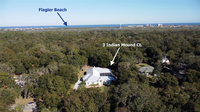 3 Indian Mound Ct, Flagler Beach, FL 32136 - photo 2