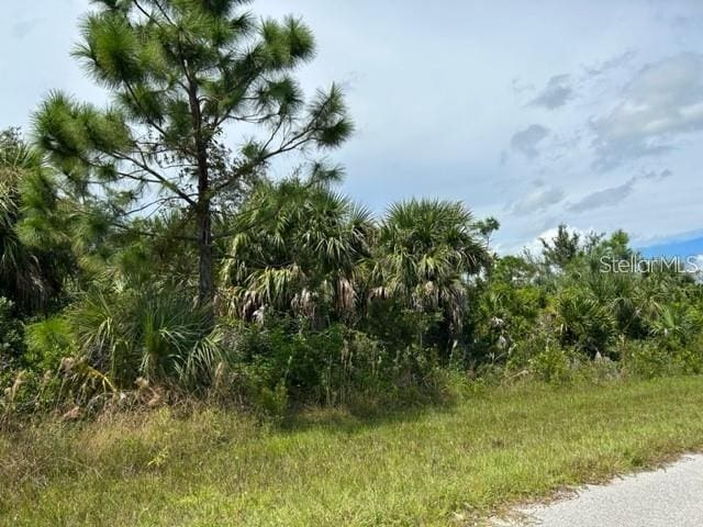 10027 Hackensack St, Port Charlotte FL, 33981 land for sale