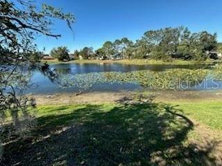 4518 Watch Hill Rd, Orlando, FL 32808 - water view