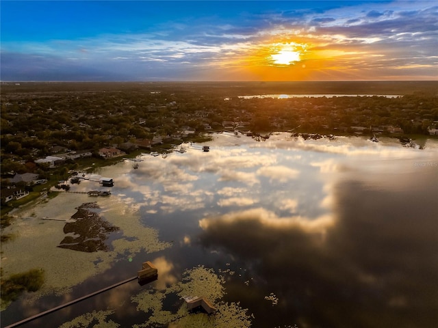 nature at dusk with a water view