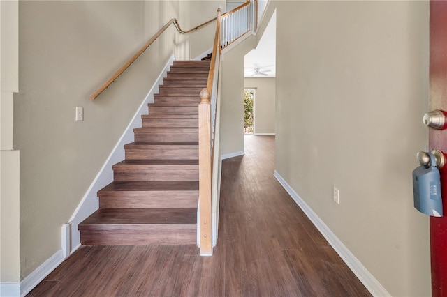 staircase featuring hardwood / wood-style floors and ceiling fan