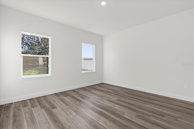 empty room featuring a wealth of natural light and hardwood / wood-style flooring