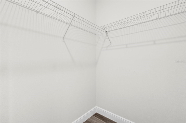 spacious closet with wood-type flooring