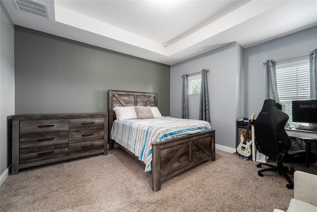 carpeted bedroom featuring a raised ceiling