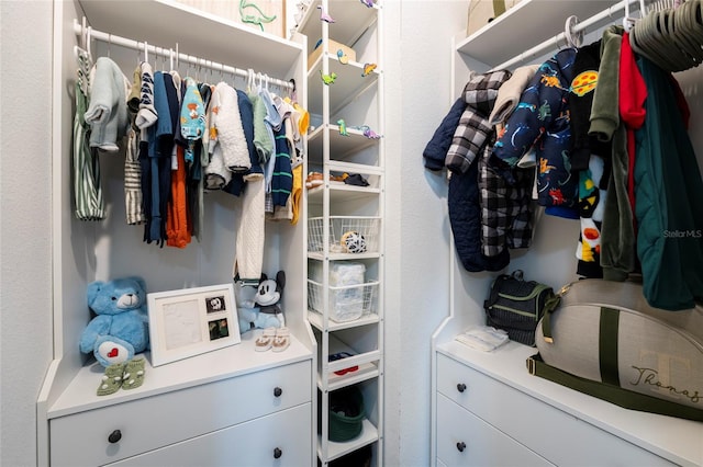 view of spacious closet