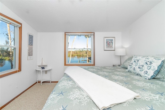 bedroom featuring a water view and carpet flooring