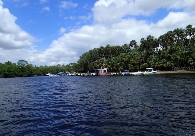 property view of water