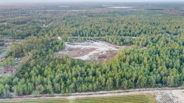 4521 W Gallagher St, Dunnellon, FL 34433 - photo 3