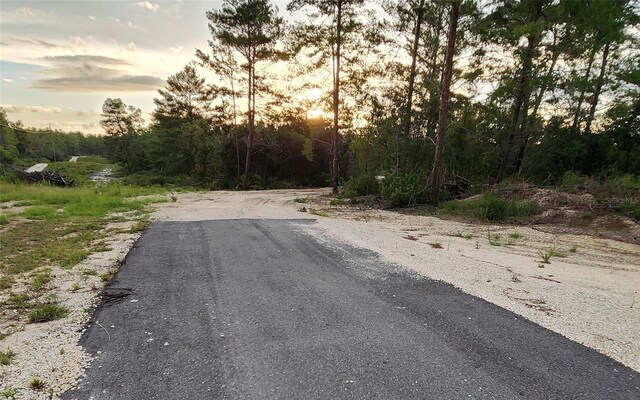 4521 W Gallagher St, Dunnellon, FL 34433 - photo 5