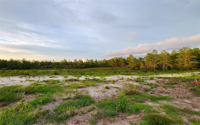 4521 W Gallagher St, Dunnellon, FL 34433 - photo 2