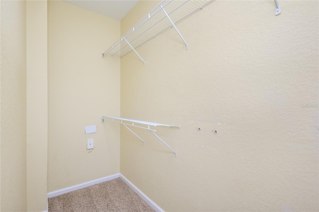 spacious closet featuring carpet floors