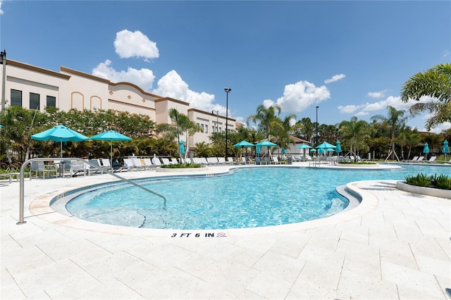 view of pool with a patio