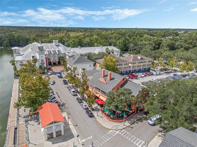 1054 Waterside Dr, Celebration, FL 34747 - bird's eye view of a forest