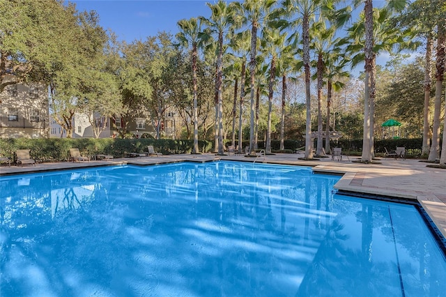 view of pool with a patio