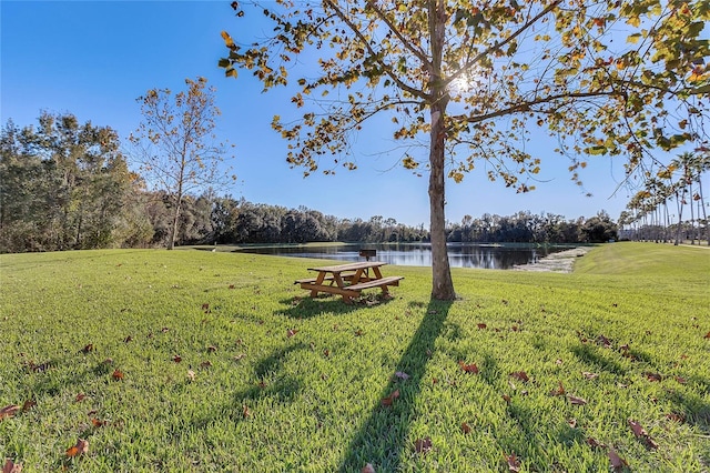 view of yard with a water view