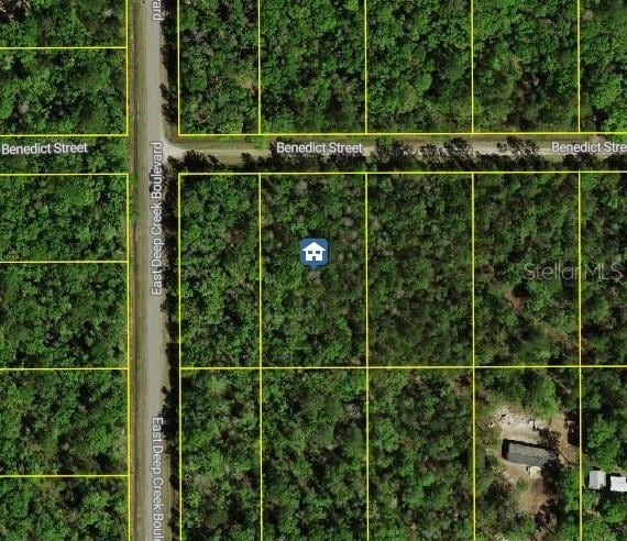 4795 Benedict St, Hastings FL, 32145 land for sale