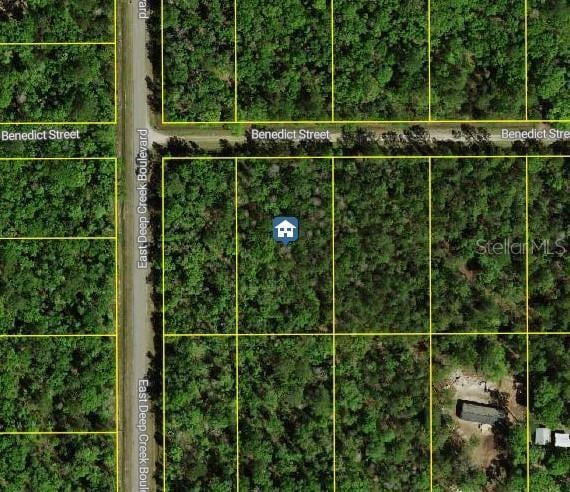 4795 Benedict St, Hastings, FL 32145