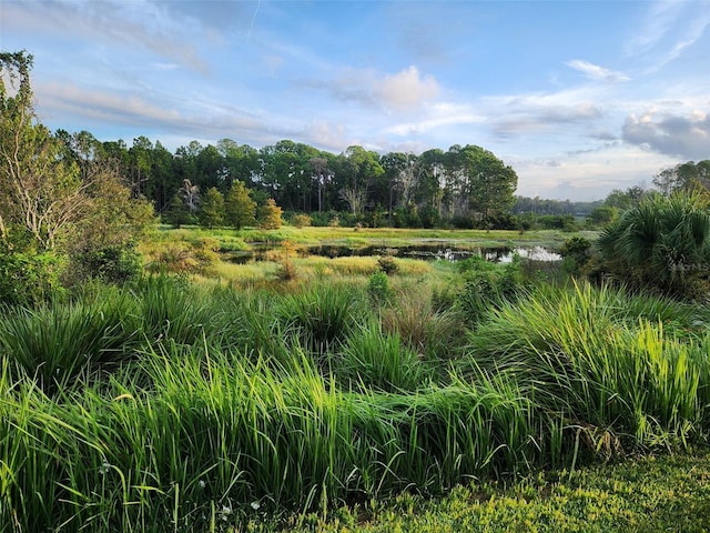 view of local wilderness with a water view