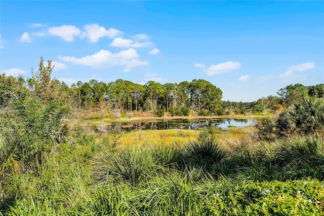 view of landscape with a water view