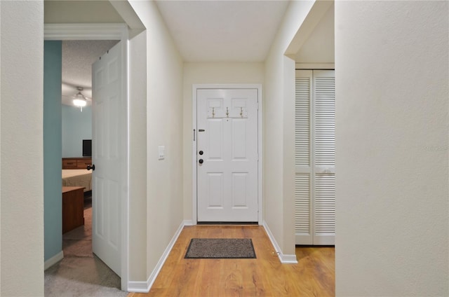 foyer featuring light wood-type flooring