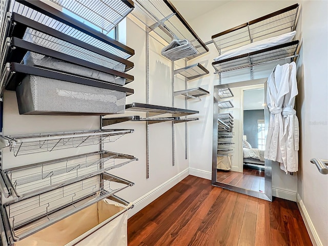 spacious closet with dark hardwood / wood-style floors