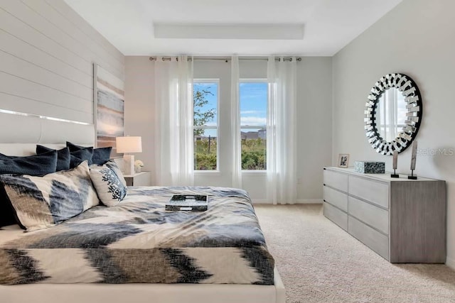 carpeted bedroom featuring a tray ceiling